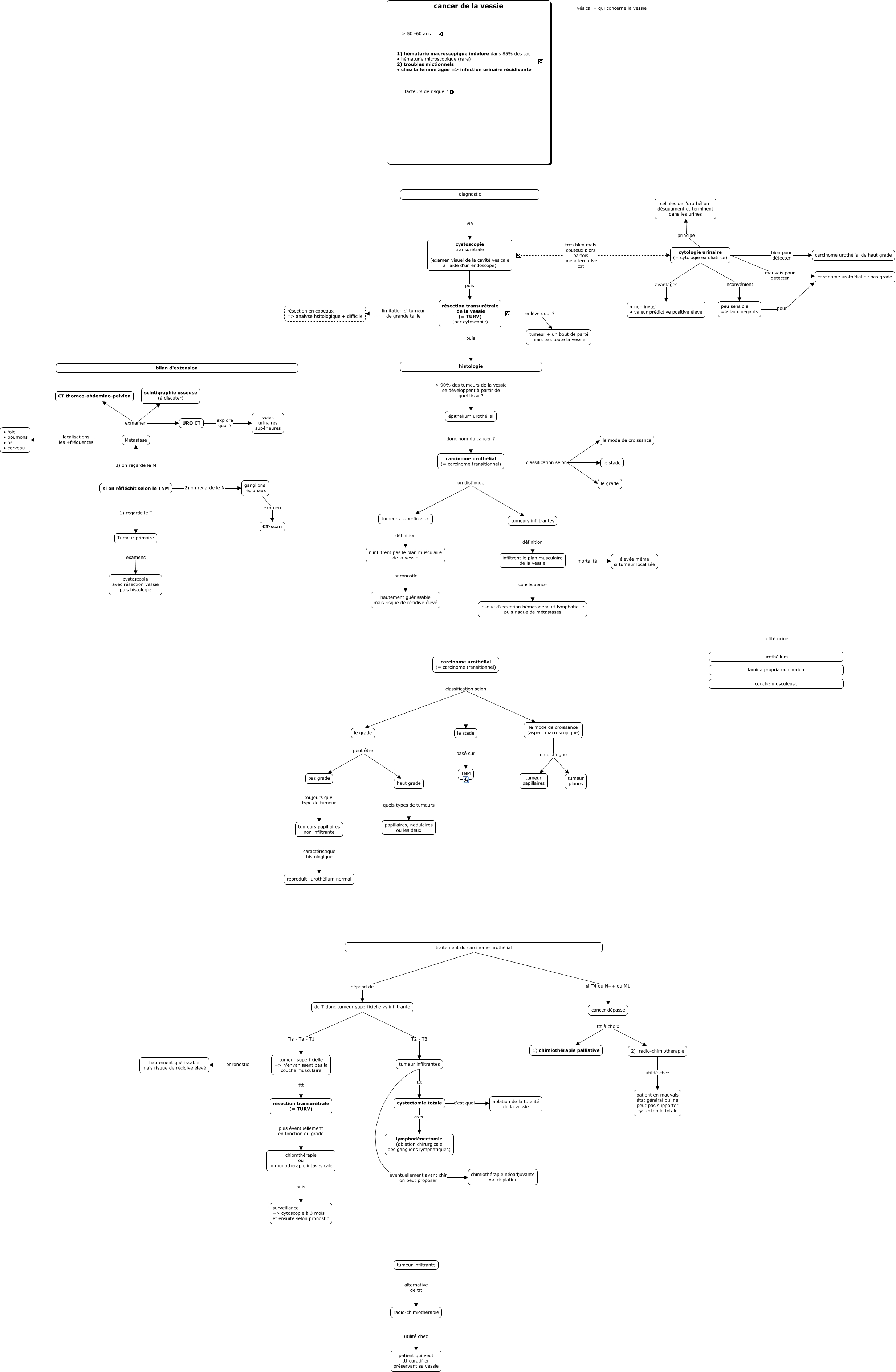 Cytologie Négative Pour Le Carcinome Urothélial De Haut Grade